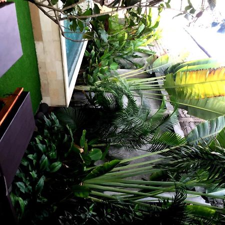 Kubu Kenak Guesthouse Seminyak Kültér fotó