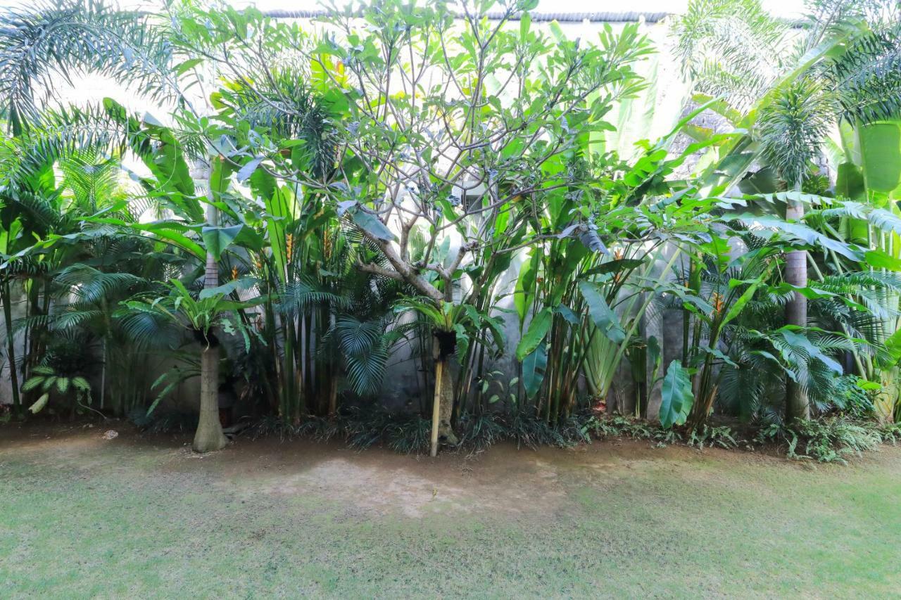 Kubu Kenak Guesthouse Seminyak Kültér fotó